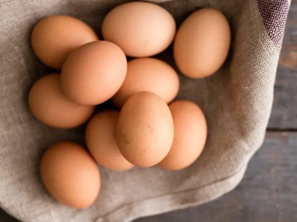 Купить яйца для столовых — гарантия свежести и вкуса