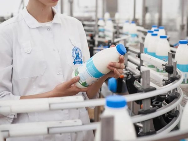 Работа в Santal: карьерные возможности в компании молочных продуктов