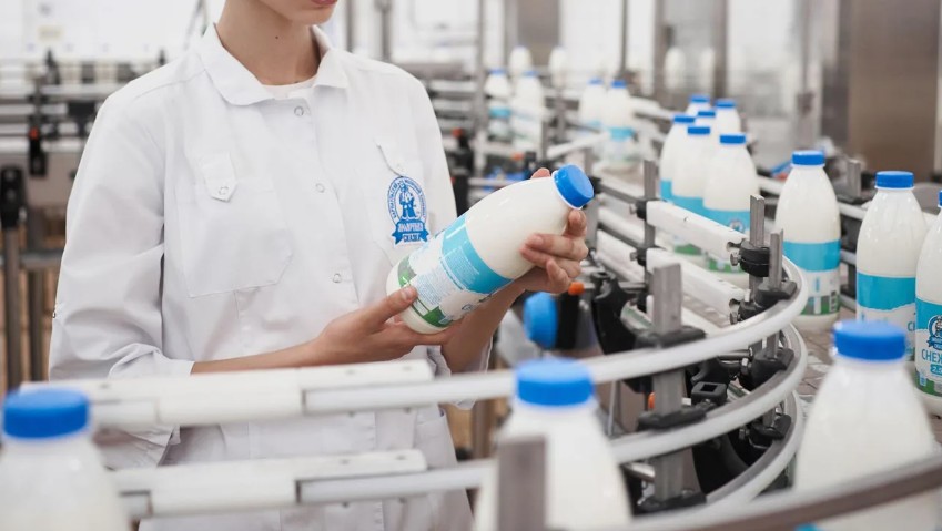 Работа в Santal: карьерные возможности в компании молочных продуктов